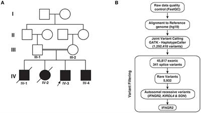 A Novel Splice Site Mutation in IFNGR2 in Patients With Primary Immunodeficiency Exhibiting Susceptibility to Mycobacterial Diseases